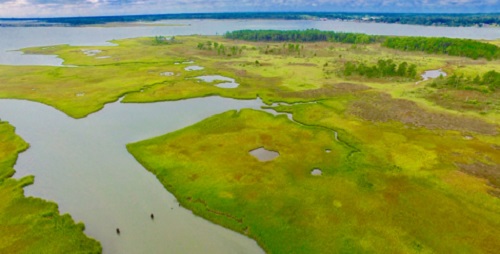 Coastal Carbon Budget: A drone image of the Goodwin Islands near the confluence of the York River and Chesapeake Bay shows the tidal wetlands and estuary ecosystems that play a key role in the coastal carbon budget. (Photo courtesy of D. Walters/VIMS.)