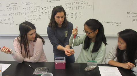 Alyssa Luz-Ricca ’20, a neuroscience major at William & Mary, instructs students from Jamestown High School in the basics of using a micropipette. It was part of an introduction to sophisticated wet-lab techniques presented by members of the university’s iGEM team. (Joseph McClain/W&M News)