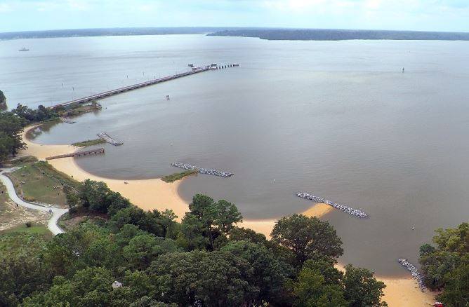 A river otter attacked several people at Jamestown Beach Event Park on Friday, James City County officials say. (Courtesy James City County)