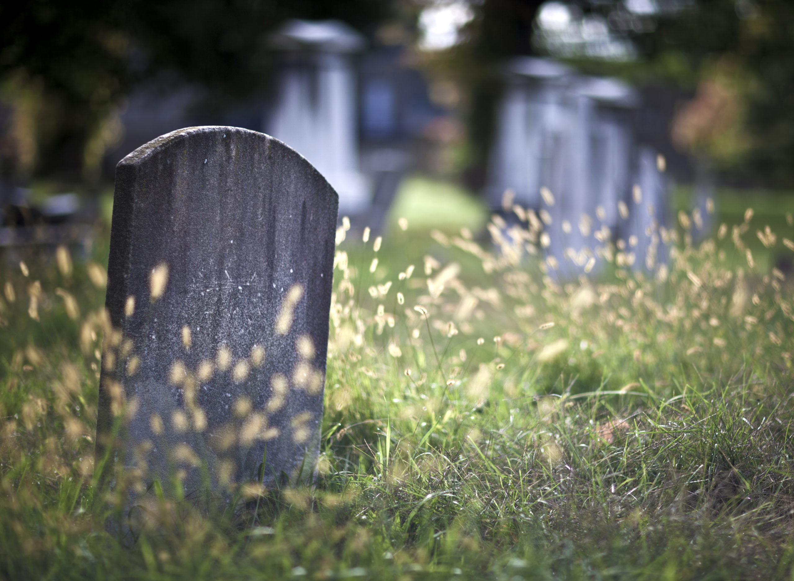 An old gravestone in a cemetery