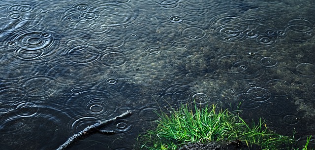 Rainy weather has already made an impact this weekend. (WYDaily/Courtesy PIxabay user JerzyGorecki)