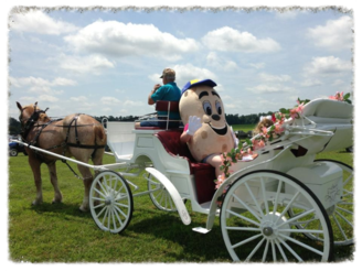 Chippokes Plantation State Park will host the annual Pork, Peanut and Pine Festival on Saturday and Sunday, July 21 and 22, this year. (WYDaily/Courtesy of Pork, Peanut and Pine Festival website)