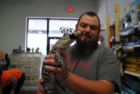 Hunter Jenkins, the treasurer of the nonprofit group Viper, which rescues and rehabilitates reptiles, drove to Lynchburg to rescue Little Foot, an American alligator. (WYDaily/Alexa Doiron)