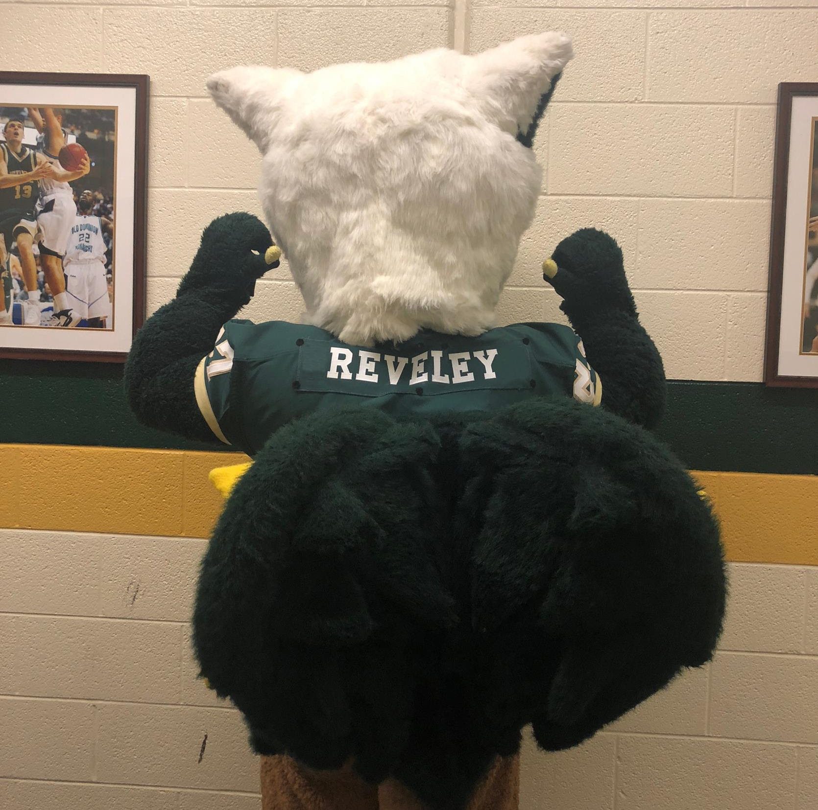 Tribe Athletics has named its griffin mascot after outgoing president, Taylor Reveley. (WYDaily/Courtesy of Tribe Athletics)