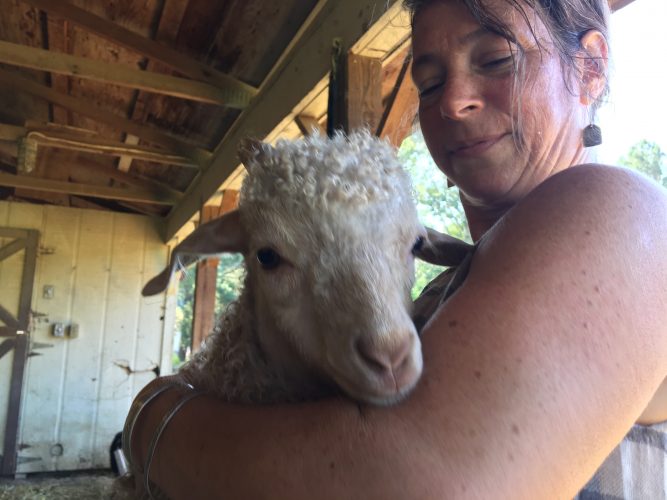 Anderson first started raising goats when her daughter was going off milk. She said once you buy one goat, you can't stop and now she has a whole lifestyle built around the animals. (WYDaily/Alexa Doiron)