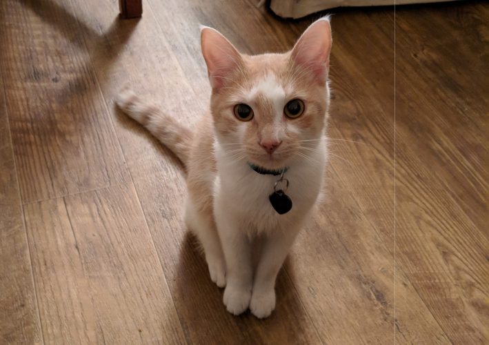 Mr. Tim Business. (WYDaily/Courtesy of Caton Hamrick)