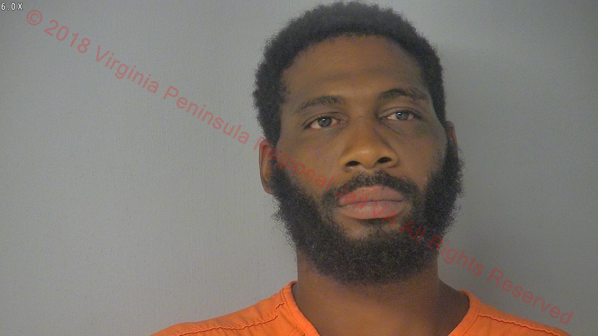 Eric Lewis was arrested on Aug. 19 at the 200 Block of Barham Boulevard in York County. (WYDaily/Virginia Peninsula Regional Jail)