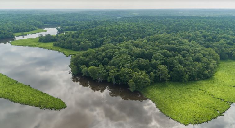 Chickahominy Summerplace sits on the banks of Yarmouth Creek. (WYDaily/ Courtesy Commonwealth Commercial)