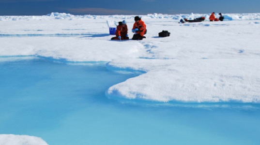 Researchers collect samples from floating sea ice for later analysis in the lab. (WYDaily/Courtesy Elizabeth Shadwick/VIMS)