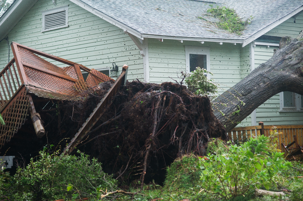 A uprooted tree that had lifted a back porch in the Carolina Place neighborhood east of downtown Wilmington during the calm between the inner bands of Hurricane Florence Friday morning. (Port City Daily photo | Mark Darrough)