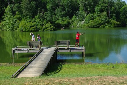 There are three fishing spots at York River State Park and plenty of fish to go around for everyone. (Image courtesy York River State Park)