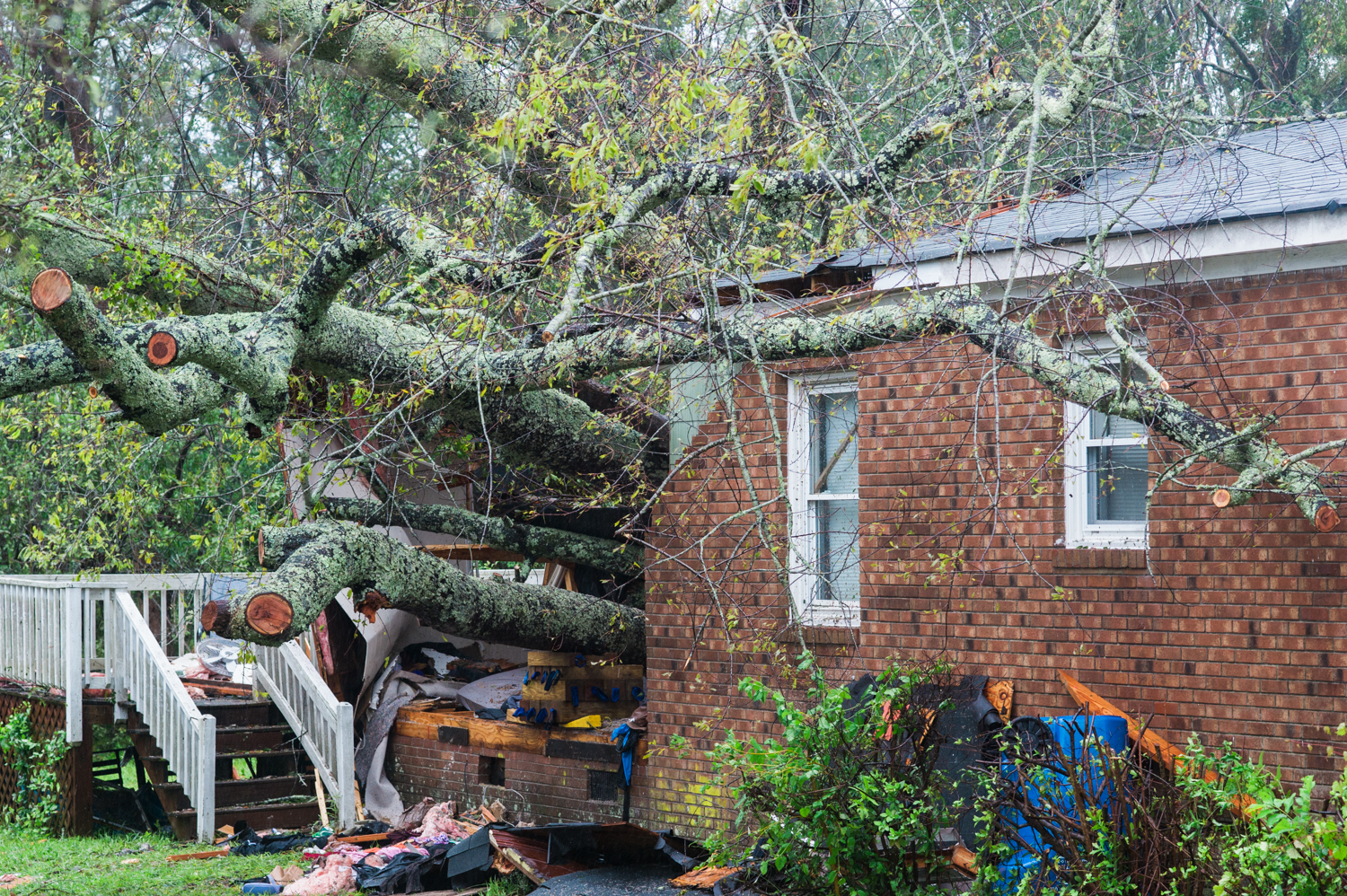A mother and her infant were killed Friday when a large tree fell onto their house on Mercer Avenue, marking the first confirmed fatalities of Hurricane Florence in Wilmington. (Port City Daily photo | Mark Darrough)