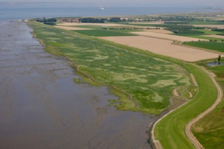 Barriers to inland wetland migration, such as this Dutch dike, are common in Europe and China. (WYDaily/Rijkswaterstaat/Joop Van Houdt)