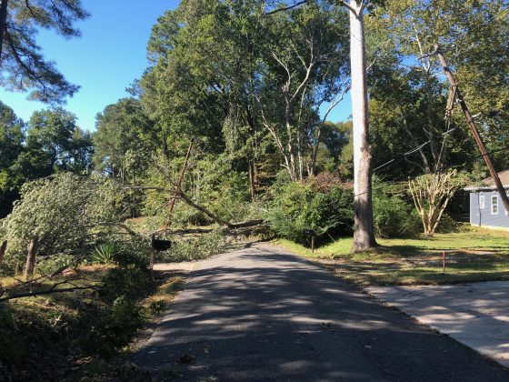 Aftermath of Tropical Storm Michael - Hickory Sign Post Road. (Tom Davis/WYDaily)