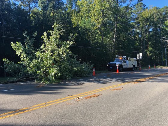 VDOT crews clear up a downed tree on Route 5 Friday morning. (Tom Davis/WYdaily)