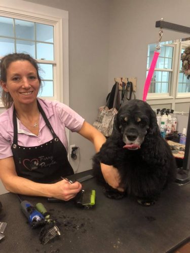 Having an abundance of dog groomers allows owners to find the best groomer for their dog's needs, said Coco Down, owner of The Pinup Groomer. (WYDaily/Courtesy Dogsburg Grooming Shoppe)