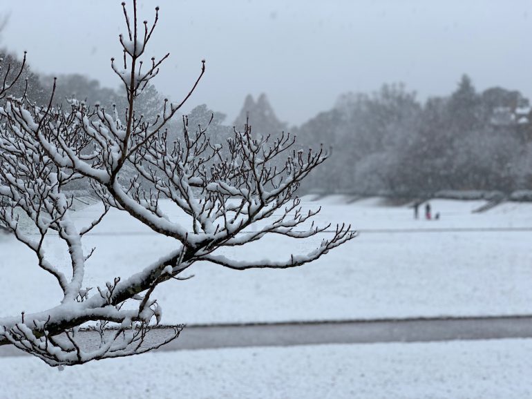 A winter storm dropped more than an inch of snow on the William & Mary campus last year. (WYDaily/Courtesy Erin Zagursky)