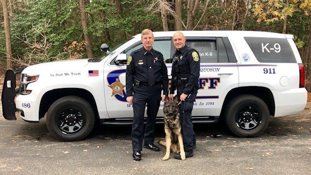 Saber, a German Shepard, started working in the York-Poquoson Sheriff's Office on Dec. 4. (WYDaily/Courtesy YPSO)