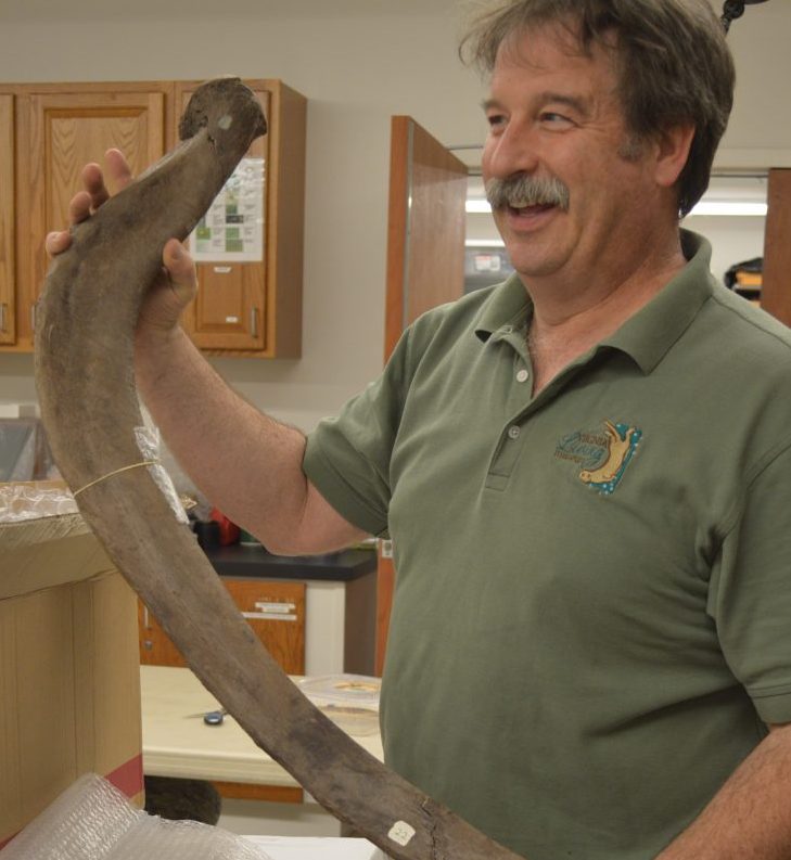 The Virginia Living Museum's mastodon fossil collection was recently named Virginia's Top 10 Endangered Artifacts (WYDaily Photo/ Courtesy of the Virginia Living Museum)