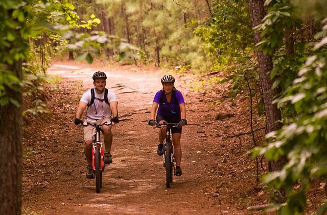 The mountain bike trail previously in Upper County Park was cut in half after it was discovered that parts of the trail ran over private property. (WYDaily/Courtesy JCC)