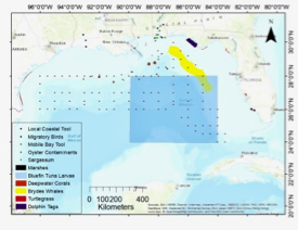 NOAA is funding adaption of VIMS living shoreline model to coastal bays in Texas, Louisiana and Alabama. The model uses coastal inventory data to recommend a best management practice for a chosen shoreline segment. Click here to learn more. (WYDaily/NOAA)
