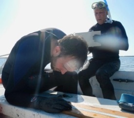 Jonathan Lefcheck (L) and Robert "JJ" Orth study seagrass habitats in Virginia's seaside bays. (Southside Daily/P. Richardson/VIMS)
