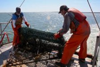 Alison Smith and Durand Ward prepare to deploy the crab dredge from the R/V Bay Eagle at a site in the York River. (Southside Daily/David Malmquist/VIMS)