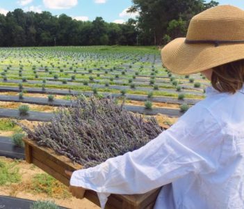 Owner of Sweethaven Lavender farm of Williamsburg, Kerry Messer, captures a shot of her daughter, Hannah, in front of their farm's fields. (WYDaily/Courtesy of Kerry Messer)