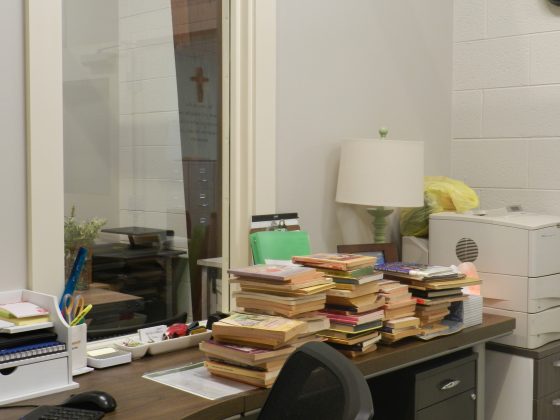 Some additions to this year's summer reading program, prior to sorting, of course. (WYDaily Photo/Benjamin West)
