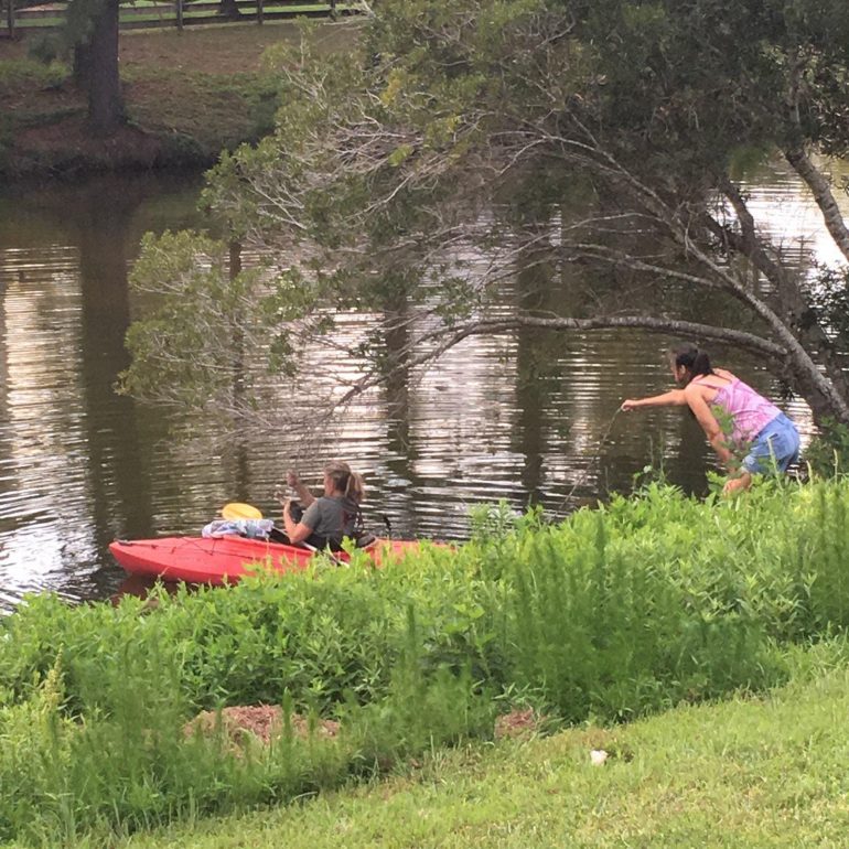 A picture shows rescuers removing a green heron from a tree, where it was caught by the tongue on some fishing line. (WYDaily/Courtesy of Julie Wallace)