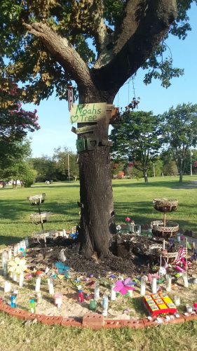 Noah Tomlin's memorial tree (WYDaily/ Courtesy of Tammy Marie Hodges)