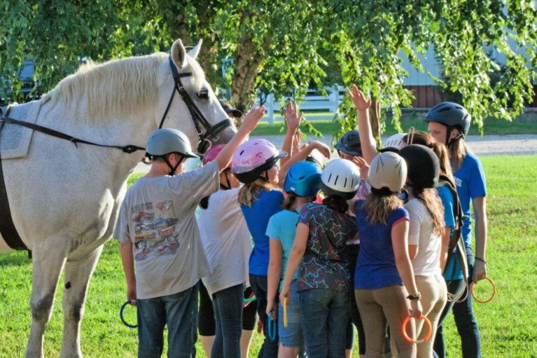 Children participate in a Dream Catchers’ summer camp where they engage in Equine-Assisted Activities with therapy horses. (WYDaily/Courtesy of Dream Catchers at the Cori Sikich Therapeutic Riding Center)