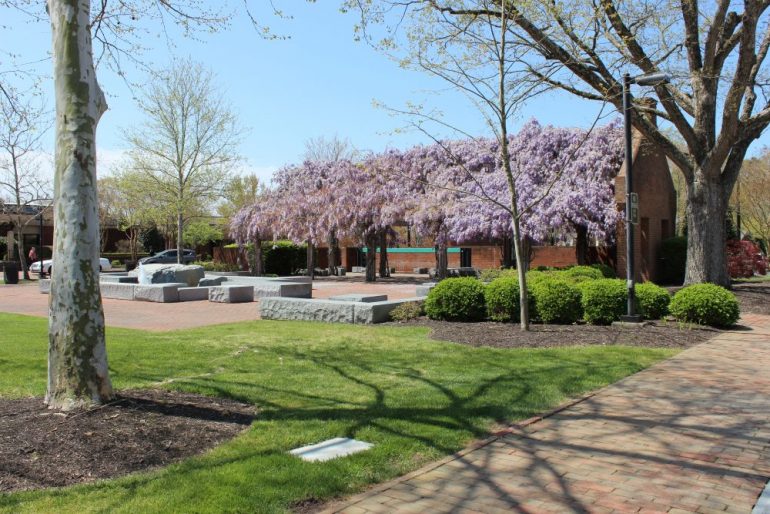 North Boundary Street cuts through the middle of City Square park between the Community Building lawn and the green space between the Stryker Center and Williamsburg Regional Library. (WYDaily/Courtesy of City of Williamsburg)