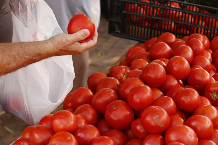 Sunday is the start of National Farmers' Market week. (WYDaily/Courtesy WFM)