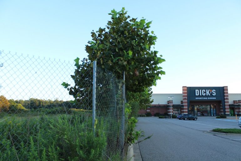 The new school is expected to be built on undeveloped land near the Marquis shopping center off Route 199. (Andrew Harris/WYDaily)
