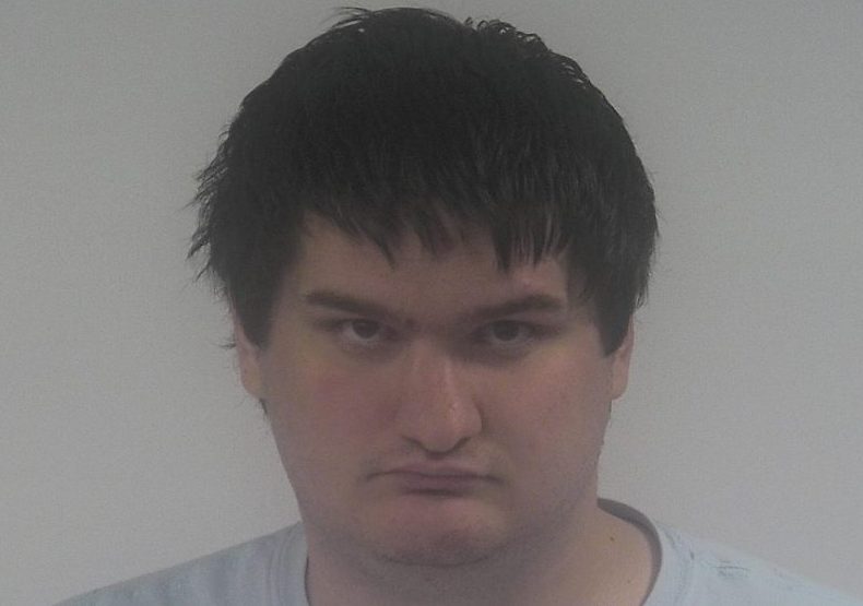 Justin Travis Taylor, 25 (WYDaily/Courtesy of Western Tidewater Regional Jail)