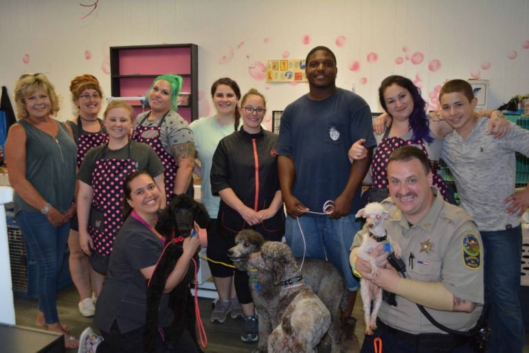 The Animal Friends of Williamsburg Facebook group pulled together 30 volunteers to help 34 animals rescued from a home in New Kent County. (WYDaily/Bob Tubbs)