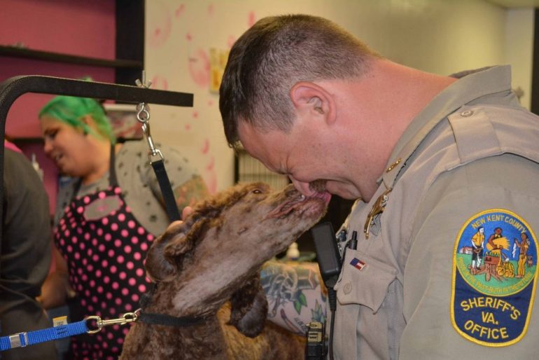 Members of the New Kent County Animal Control had reached out to the Facebook group for help with grooming, medical care and donations. (WYDaily/Courtesy Bob Tubbs)
