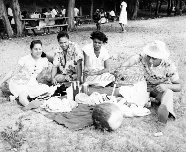 Hope Wynne Carter is the lead on a project aiming to recognize Log Cabin Beach as a landmark in local African-American history. The recognition would include a publicly-viewable road marker.(WYDaily/Courtesy of James City County Board of Supervisors agenda)