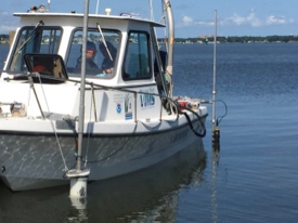 The researchers piloted their instrumented vessel slowly through each oyster farm and its surrounding area, using a bow-mounted acoustic Doppler current profiler to measure current speed and direction, and a stern-mounted datasonde to record chlorophyll, turbidity, and dissolved oxygen. (Grace Massey/VIMS/WYDaily)
