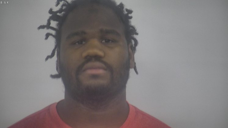 Raymond Palmer, 29 of Newport News is charged with&nbsp;Racketeering Conspiracy, Attempted Assault with a Dangerous Weapon in Aid of Racketeering and Possession/Discharge of a Firearm in Furtherance of a Crime of Violence. Palmer's sentencing date is&nbsp;May 19, 2020.&nbsp;(WYDaily/ Courtesy of the Eastern District of Virginia)