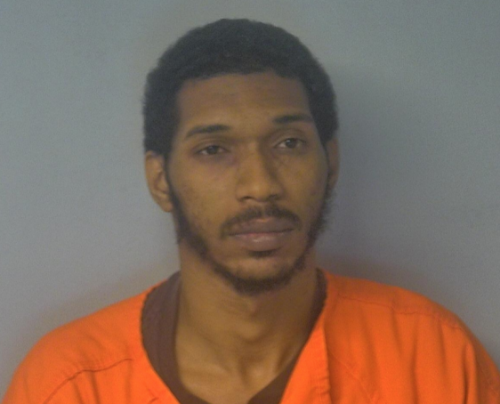 Screenshot of Darius Robertson's booking photo at Virginia Peninsula Regional Jail. Robertson is charged with felony cruelty to animals, according to authorities. (WYDaily/ Courtesy of VPRJ)