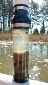 Semedo collected sediment samples for laboratory analysis at VIMS, as denitrifying microbes generally live in muds on the creek bottom. (S. Fate/VIMS ESL/WYDaily)