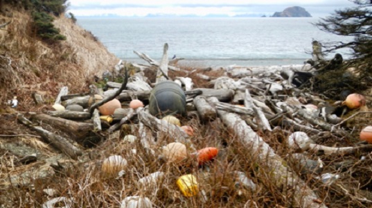Plastic debris on a remote Gulf of Alaska beach. Onshore debris can weather to microplastics, be eaten by local wildlife, or return to the water, where it can be transported long distances by ocean currents. Some of the plastics here arose from the 2011 Japanese tsunami. (Chris Pallister, GoAK.org./VIMS/WYDaily