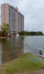 Seawater floods the Hague in Norfolk during the "King Tide" in October 2019. (VIMS/WYDaily)