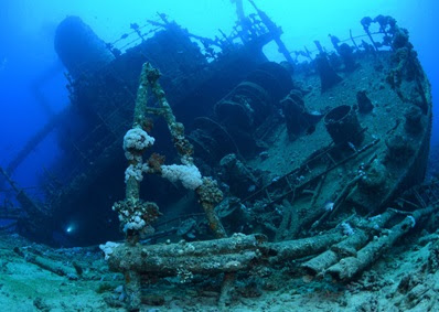 (WYDaily/Courtesy of Williamsburg Regional Library)