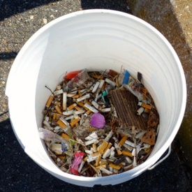 Cigarette butts, which are typically made from a plastic called cellulose acetate, are by far the most common single item of plastic trash worldwide. (D. Malmquist/VIMS/WYDaily)
