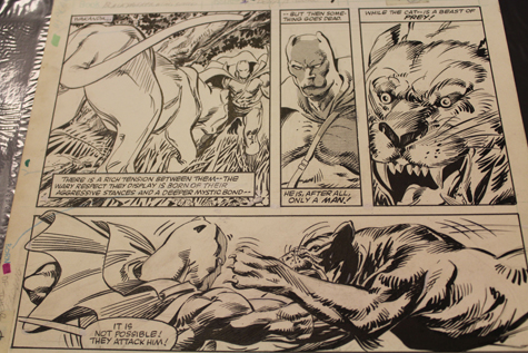 A page from The Fantastic Four featuring Black Panther’s first appearance (WYDaily/Courtesy of W&M Libraries)
