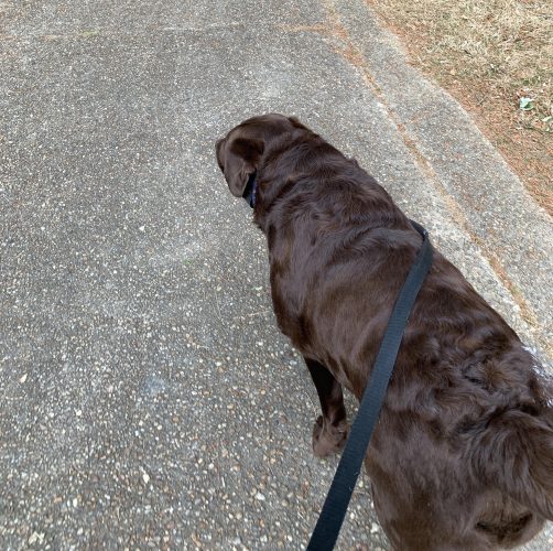 (WYDaily/Courtesy of Alex Heyward)