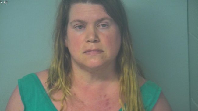 Wendy Lynn Diehl, 48 is charged with two felony counts of animal cruelty, 14 counts of misdemeanor animal cruelty and 15 counts of misdemeanor failing to provide for an animal. (WYDaily/ Courtesy of VPRJ)